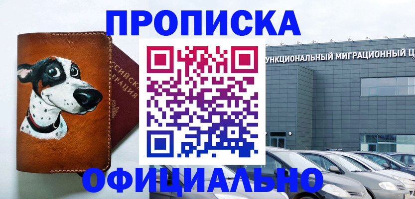 временная прописка в Большом Камне